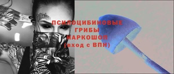 apvp Богородицк