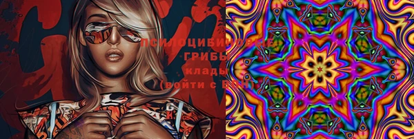 прущая мука Богданович