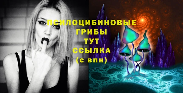 apvp Богородицк