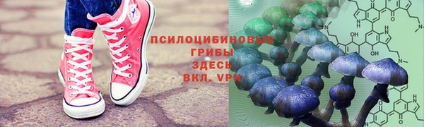 прущая мука Богданович