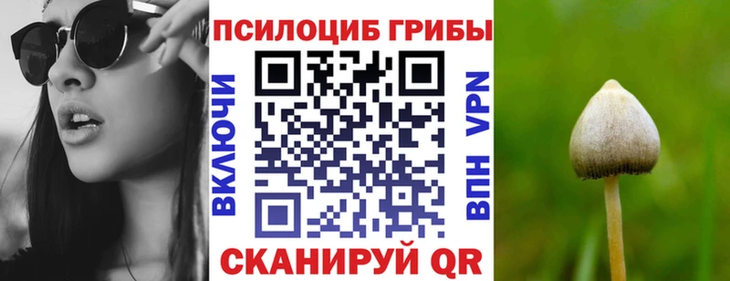 Псилоцибиновые грибы MAGIC MUSHROOMS  Среднеуральск 